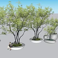 Arbor Trees In Different Sizes With Decorative Planters And People Sitting Under 3d model