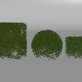 Well Trimmed Green Shrubs with Rectangular Round and Small Square Shapes in Garden