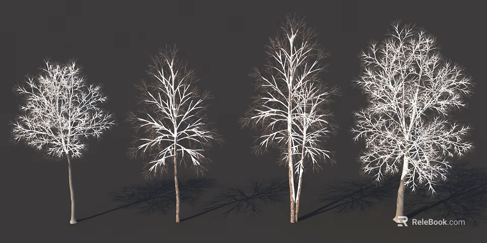 Deciduous Trees Leafless With White Covered Branches And Shadows On Dark Background 3d model 