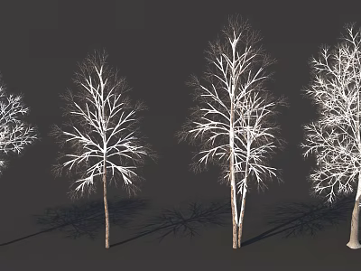 Deciduous Trees Leafless With White Covered Branches And Shadows On Dark Background 3d model