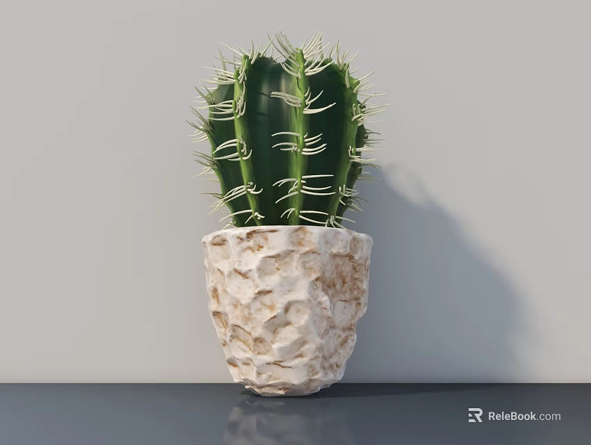 Cactus Bonsai Potted Plant In Textured Off White Pot On Grey Countertop 3d model 