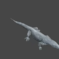 Realistic 3D Model of Komodo Dragon With Detailed Scales And Sharp Claws