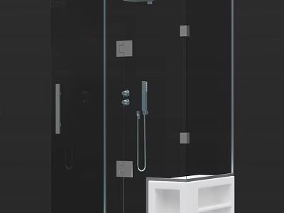 Modern Shower Sauna Design With Glass Enclosure Metal Fixtures And White Storage Shelf 3d model