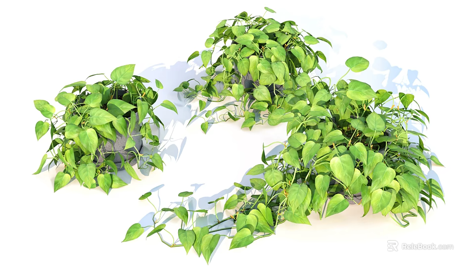 Lush Green Bonsai Potted Plant With Trailing Vines And Healthy Indoor Decorative Foliage 3d model 