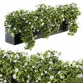 Decorative Ornament Set With Green Plants White Flowers And Black Rectangular Container 3d model