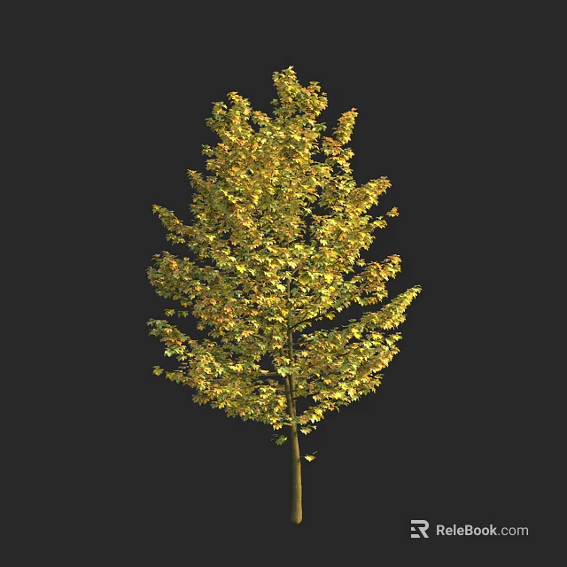 Lush Golden Leaf Arbor in Autumn with Dense Foliage and Slender Trunk 3d model 