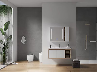 Modern Bathroom Interior With Gray Walls White Vanity Mirrored Cabinet Toilet And Green Plant 3d model