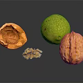 Fresh Walnuts Featuring Whole Green Brown Cracked Shell And Kernel On
