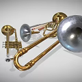 Brass And Woodwind Musical Instruments Display With Trombone Horn Flute Oboe