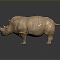 Brown Rhinoceros Standing on Dark Background With Detailed Skin Texture And Reflection