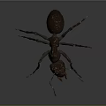 3D Rendered Brown Ant With Detailed Body Structure Legs And Antennae On Grey Background