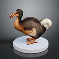 Dodo Bird Model With Detailed Feathers Standing On White Circular Base 3d model