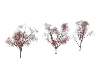 Three Decorative Trees With Red Leaves And Branchy Structure For Landscape 3d model