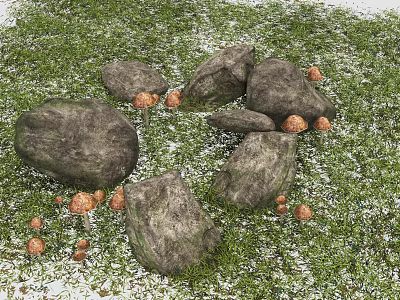 Rockery Stones in Green Grass with Small Mushrooms and Natural Setting 3d model