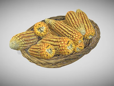 Fresh Yellow Corn Ears Arranged in Wicker Basket Healthy Vegetable 3d model