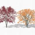 Vibrant Red and Orange Leaf Trees with Autumn Foliage in White Background