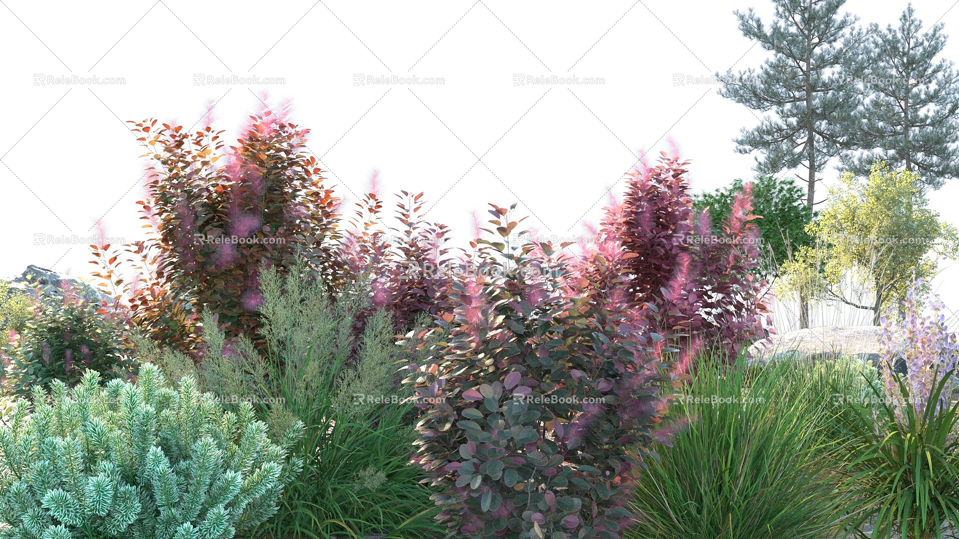 Modern shrubs 3d model