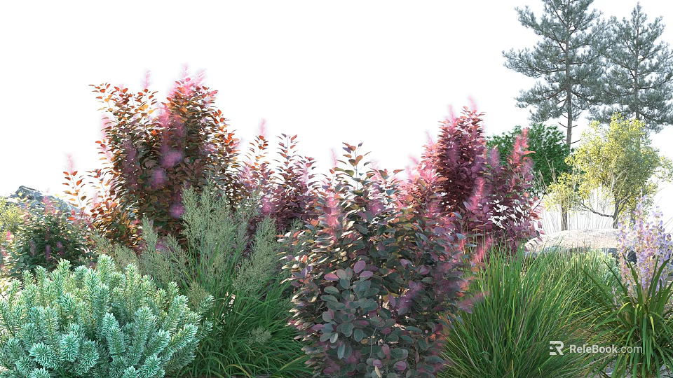 Vibrant Purple Red Foliage Shrubs In Garden Landscape With Green Grass And Trees 3d model 
