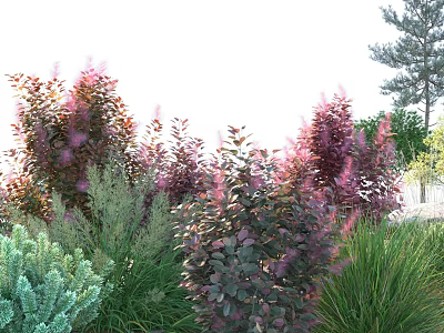 Vibrant Purple Red Foliage Shrubs In Garden Landscape With Green Grass And Trees 3d model