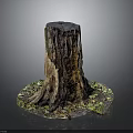 Natural Wooden Tree Stump With Green Moss And Fallen Leaves Base