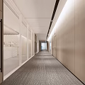 Modern Office Corridor With Wooden Walls Glass Partitions And Carpeted Floor