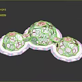Celestial Orb Models with Blue Black Patterns on White Circular Bases for Space
