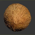 Fresh Orange Coconut With Fibrous Surface On Dark Background Showing Reflection 3d model