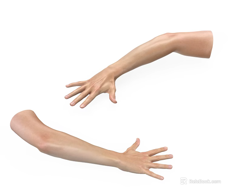 Man Displaying Extended Arms And Open Palms In Natural Hand Posture 3d model