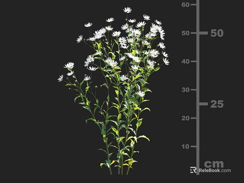 Bouquet of White Small Flowers with Green Stems and Leaves Around 50 cm Height 3d model 