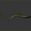 Green And White Abstract Creature Model With Long Curved Tail And Smooth Appendage