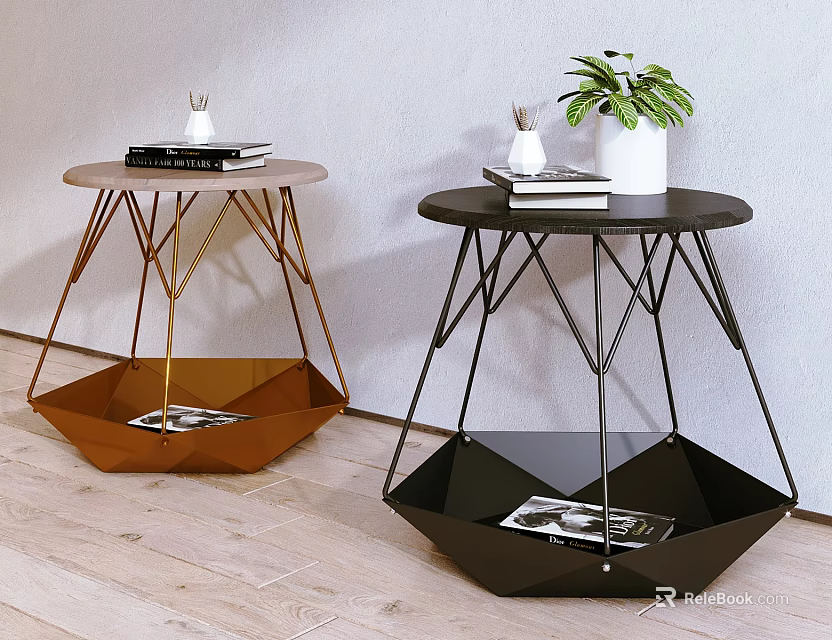 Round Side Tables with Gold Black Metal Frame Geometric Design Storage Shelf Magazines Green Plant Decorative Objects 3d model 
