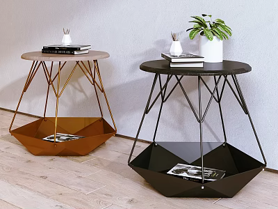 Round Side Tables with Gold Black Metal Frame Geometric Design Storage Shelf Magazines Green Plant Decorative Objects 3d model