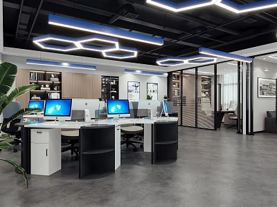 Modern Public Office Space Interior Design With Computers Workstations Ceiling Lighting And Green Plant 3d model
