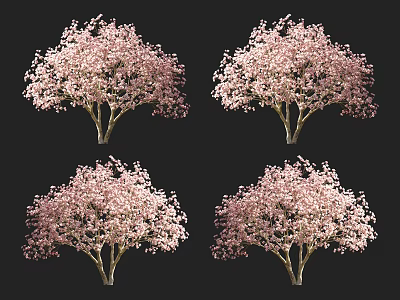 Stunning Arbor Trees With Pink Flowers In Full Bloom And Lush Canopy 3d model