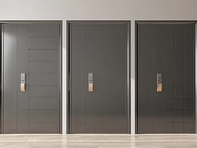 Three Dark Gray Security Doors With Various Panel Designs Copper Handles Light Wall Wooden Floor 3d model