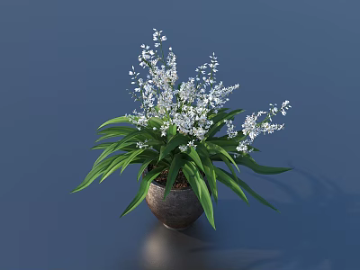 Decorative Bonsai Potted Plant With White Flowers And Long Green Leaves In Dark Pot 3d model