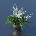 Decorative Bonsai Potted Plant With White Flowers And Long Green Leaves In Dark Pot