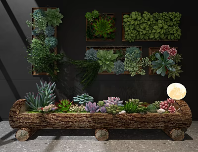 Indoor Succulent Garden With Log Planter And Wall Mounted Planters Displaying Various Succulents 3d model