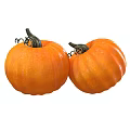 Fresh Orange Pumpkin with Shiny Smooth Surface and Ripe Texture 3d model