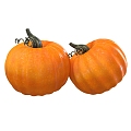 Pumpkin 3d model