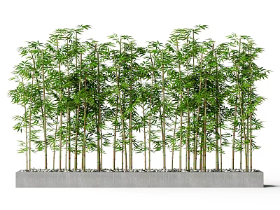 Lush Bamboo Plants With Green Leaves Arranged In Rows On Concrete Base 3d model