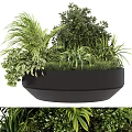Roadside Green Infrastructure With Circular Black Planter And Diverse Vegetation 3d model