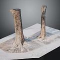 Natural Wooden Tree Stumps With Exposed Roots On Stone Paved Ground
