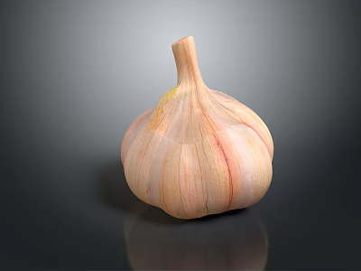 Fresh Garlic Bulb With Natural Texture On Dark Background Close Up View 3d model
