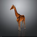 3D Red Giraffe Model with Red Spots in Standing Pose on Gray Background with Reflection 3d model