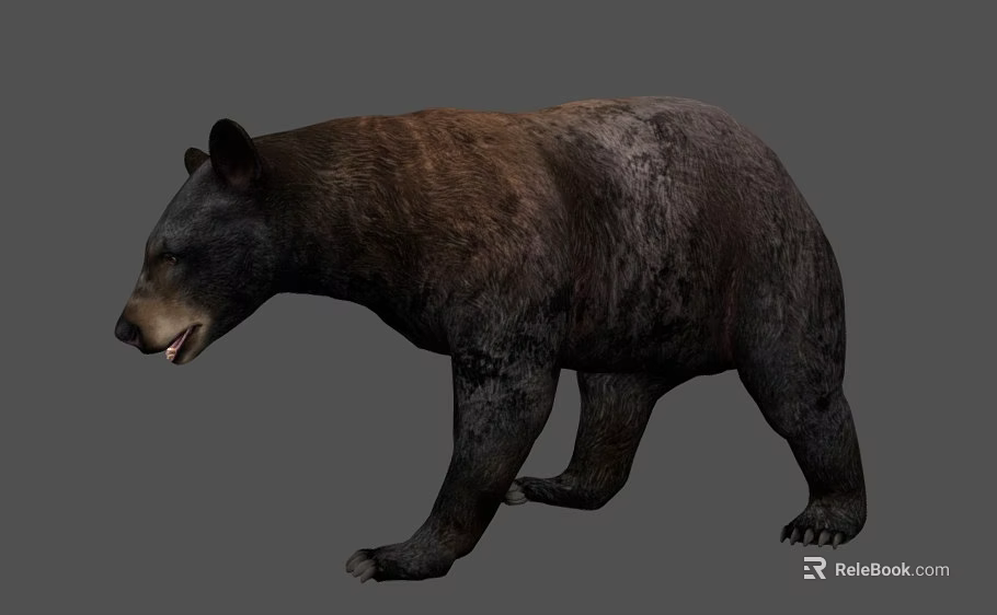 Realistic 3D Bear Model With Detailed Brown Black Fur And Walking Pose 3d model 
