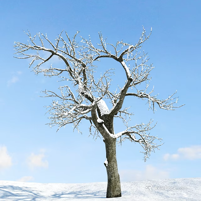 Deciduous Arbor With Snow Covered Branches Against Blue Sky And White Clouds 3d model 