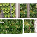 Lush Living Wall Design With Diverse Green Plants And Wooden Pathways