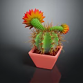 Green Cactus With Yellow And Red Flowers In Pink Decorative Pot