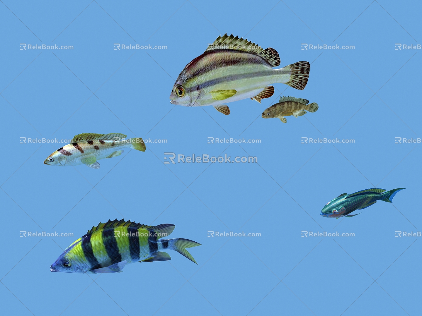 Modern Fish Sea Fish 3d model